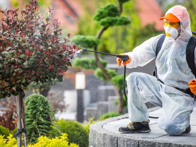 Ardeşen Haşere İlaçlama