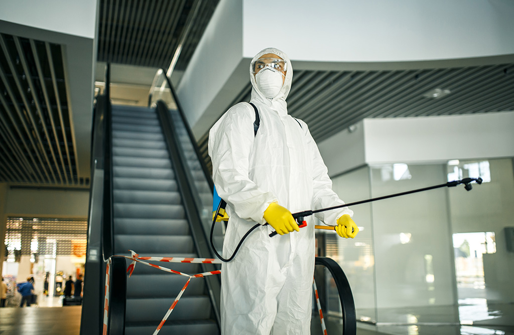 Ardeşen Haşere İlaçlama